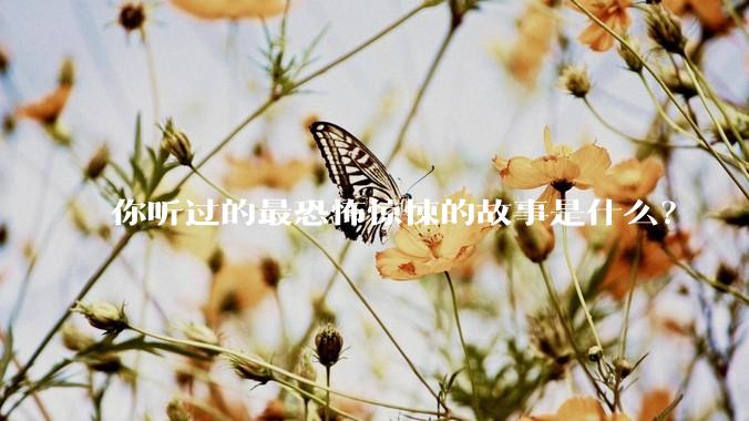 你听过的最恐怖惊悚的故事是什么？