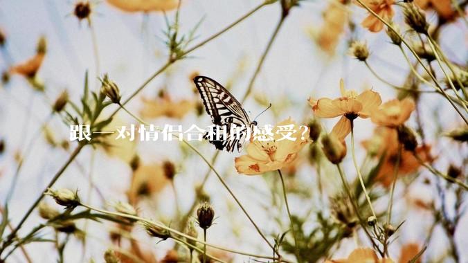 跟一对情侣合租的感受？
