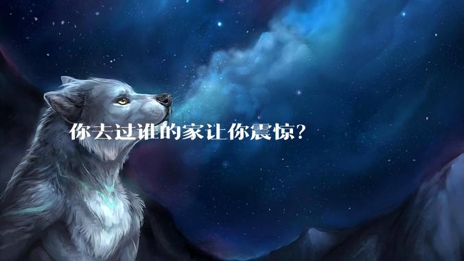 你去过谁的家让你震惊？